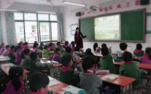 教学工作总结