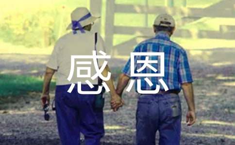 感恩父母作文