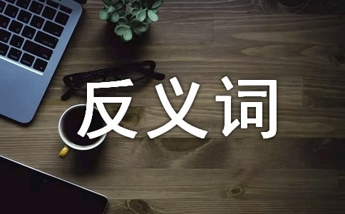 唯一的反义词是什么