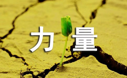 赞美的力量作文