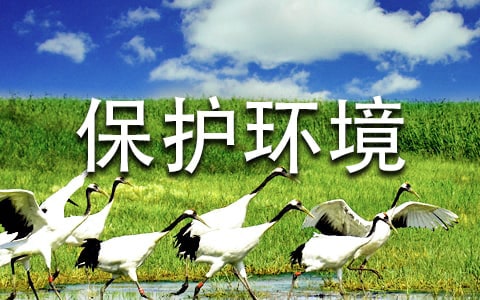 保护环境漫画作文