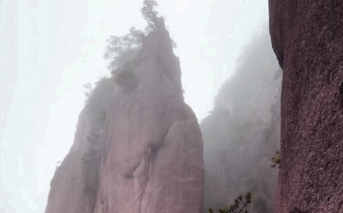 游黄山作文600字