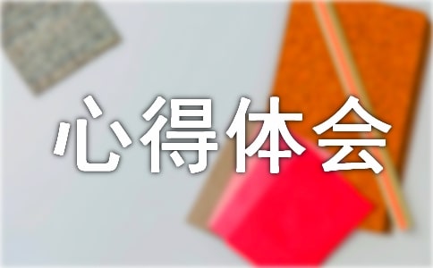 廉政风险心得体会
