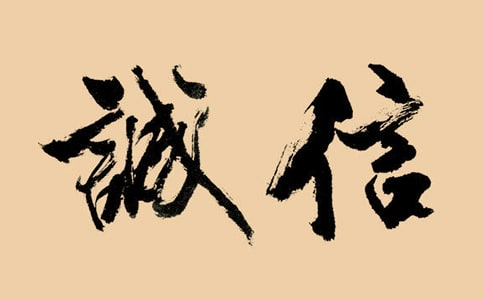 诚信与善意的谎言作文