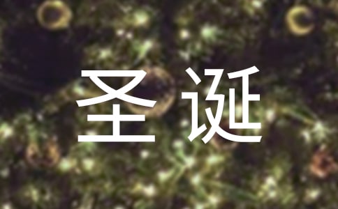 圣诞节的作文