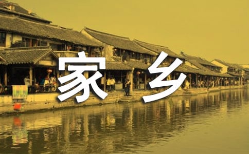 二十年后回家乡作文