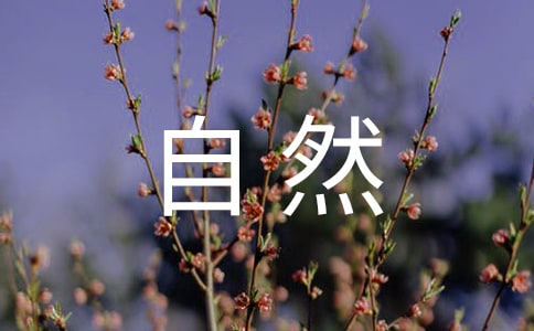《敬畏自然》阅读答案