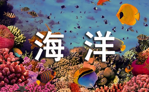 花的海洋作文