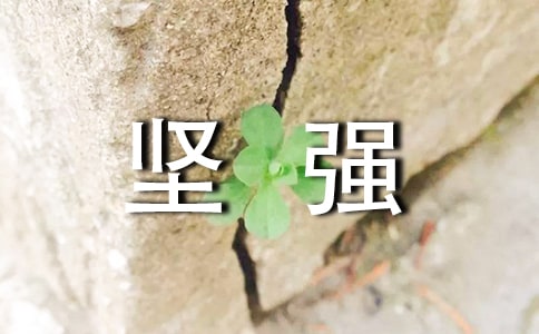 坚强的近义词是什么