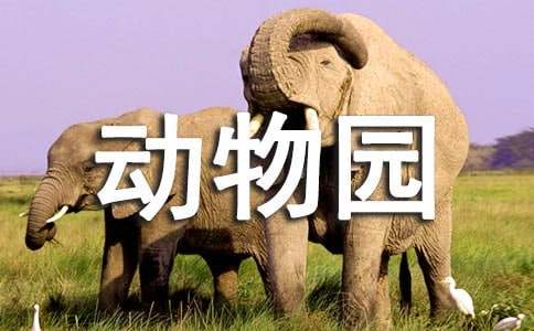参观动物园作文