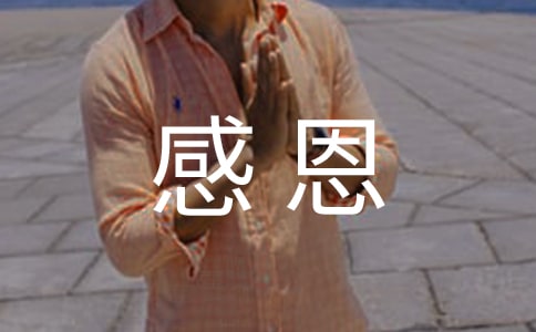 《感恩的心》歌词