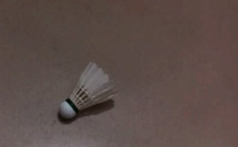 我的课余生活打羽毛球作文
