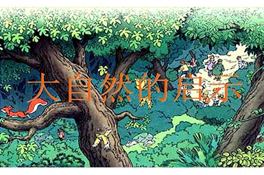 大自然的启示作文800字