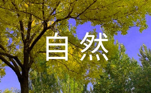 《敬畏自然》阅读练习附答案