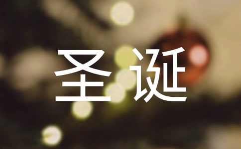 圣诞节日记