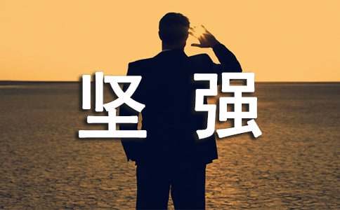 读《坚强与脆弱》有感