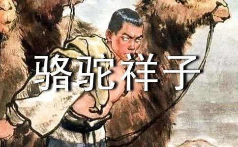 骆驼祥子读书心得体会
