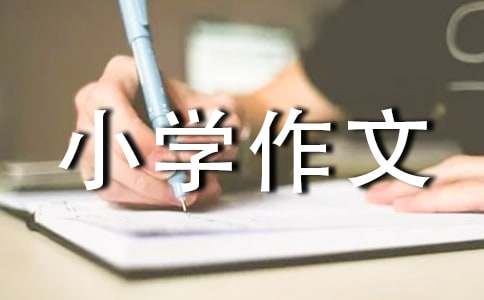 雪花的秘密小学作文