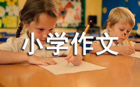 难忘的经历小学作文