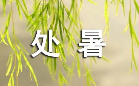 科研处暑假工作计划