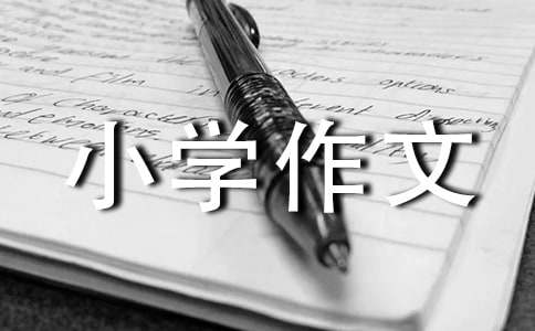 七秒光明小学作文