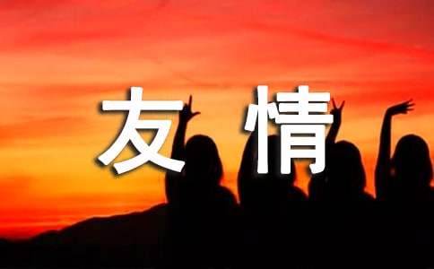 《我有友情要出租》读后感