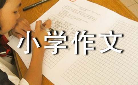 在困难中成长小学作文