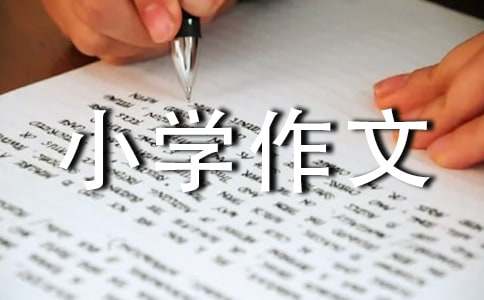 院中桅子花小学作文