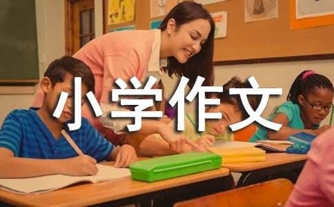 十一岁，我逐渐成长小学作文