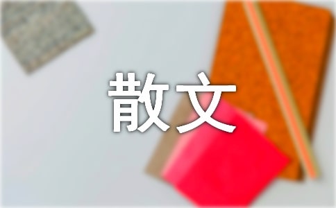 毕淑敏散文《我很重要》