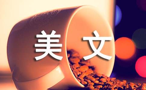 给爱豆的绝美文案