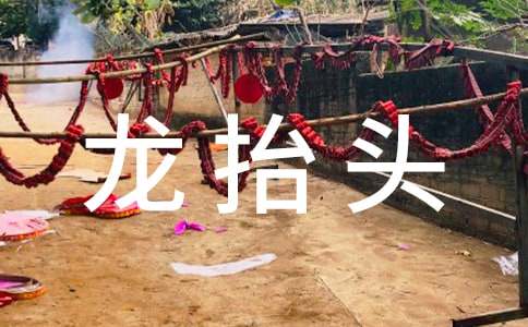 二月二龙抬头10大禁忌