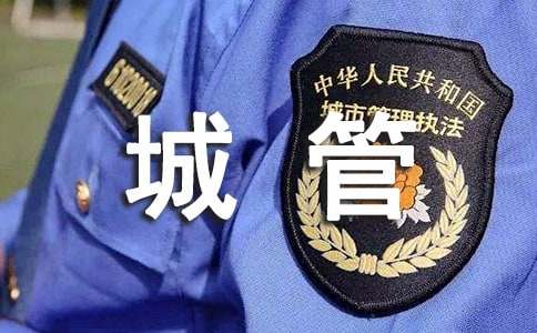 城管个人工作总结