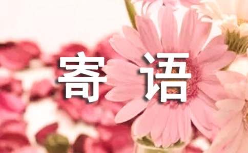 中班升大班寄语简短