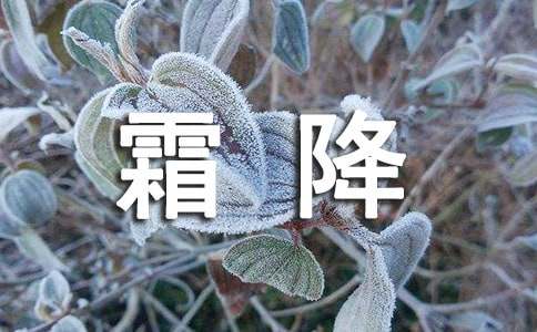 霜降节气唯美文案