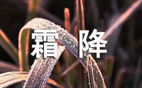 霜降唯美文案