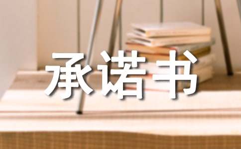 项目经理无在建项目承诺书