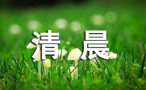清晨阳光的唯美句子