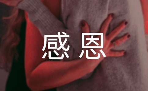对别人表达感恩的句子