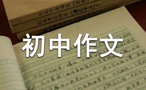 以小见大初中作文