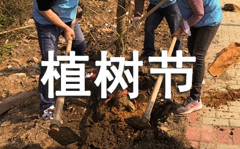 快乐植树节作文300字