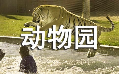 去动物园的英语作文