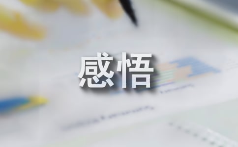 我的人生经历感悟文章