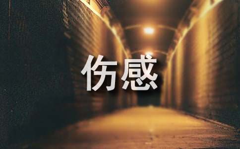 唯美伤感经典的句子