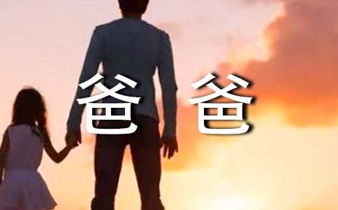 爸爸的爱初中作文