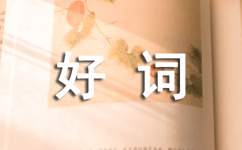 今天我是升旗手的好词好句
