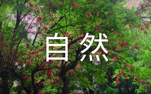 欣赏大自然作文
