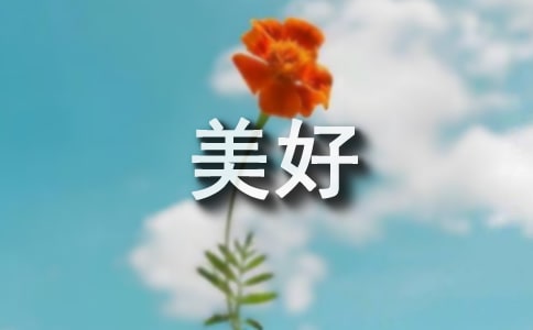 我的美好生活作文