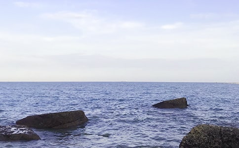 面朝大海春暖花开
