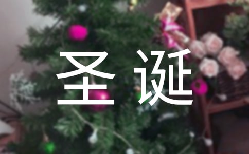 圣诞节的作文100字